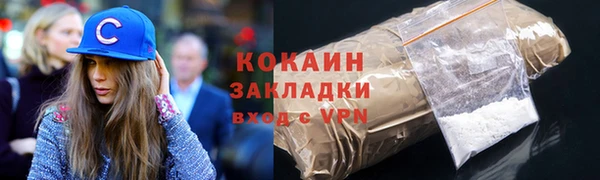 сатива Вяземский