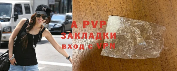сатива Вяземский