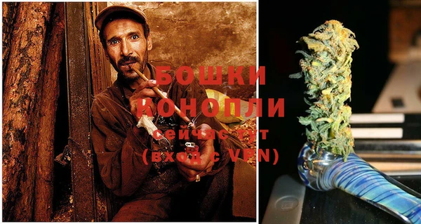 сатива Вяземский