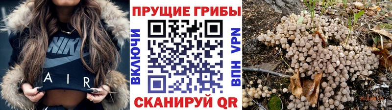 где купить наркоту  blacksprut как войти  Галлюциногенные грибы GOLDEN TEACHER  Заринск 